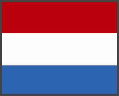 Vlag